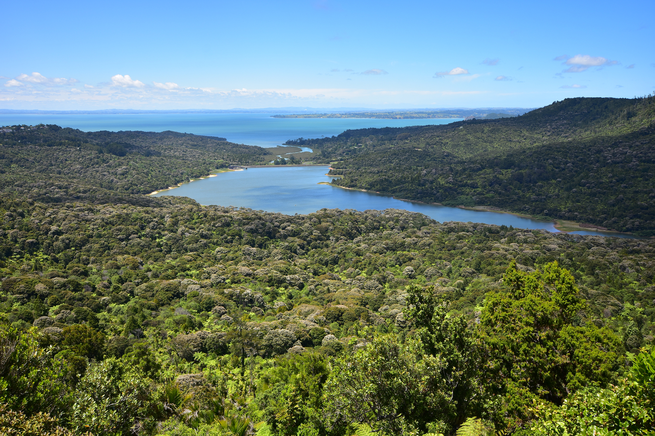 Lower Nihotupu Dam Bird View