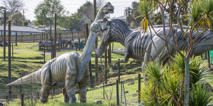 A crystal wonderland with a great theme park!