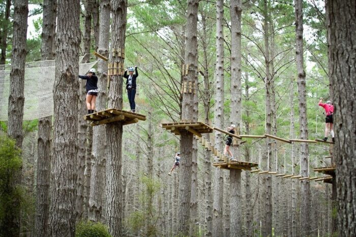 Tree Adventures is a tree-top challenge course offering an impressive range of suspended obstacles and ziplines.